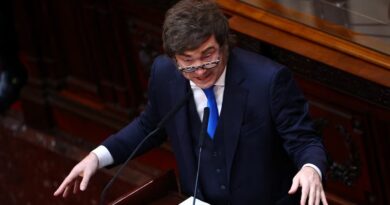 Las reformas que anunció Milei en cadena nacional: Banco Central, ajuste fiscal y desregulación