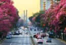 Clima primaveral en Tucumán: cómo seguirá el tiempo hasta el finde