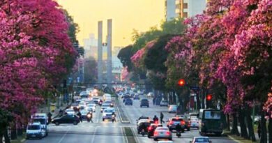 Clima primaveral en Tucumán: cómo seguirá el tiempo hasta el finde