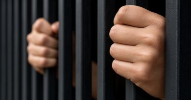 Nuevo Régimen Penal Juvenil: cárcel para los menores delincuentes y responsabilidad civil para sus padres