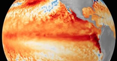 Advierten que El Niño provocaría medio millón de muertes: cuáles serían los países más afectados