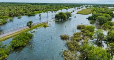 El Niño alcanza su fase más intensa: cuáles serán las zonas más afectadas en la Argentina