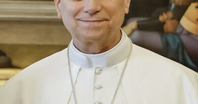 El papa León XIV retomó las audiencias públicas semanales en el Vaticano tras su operación